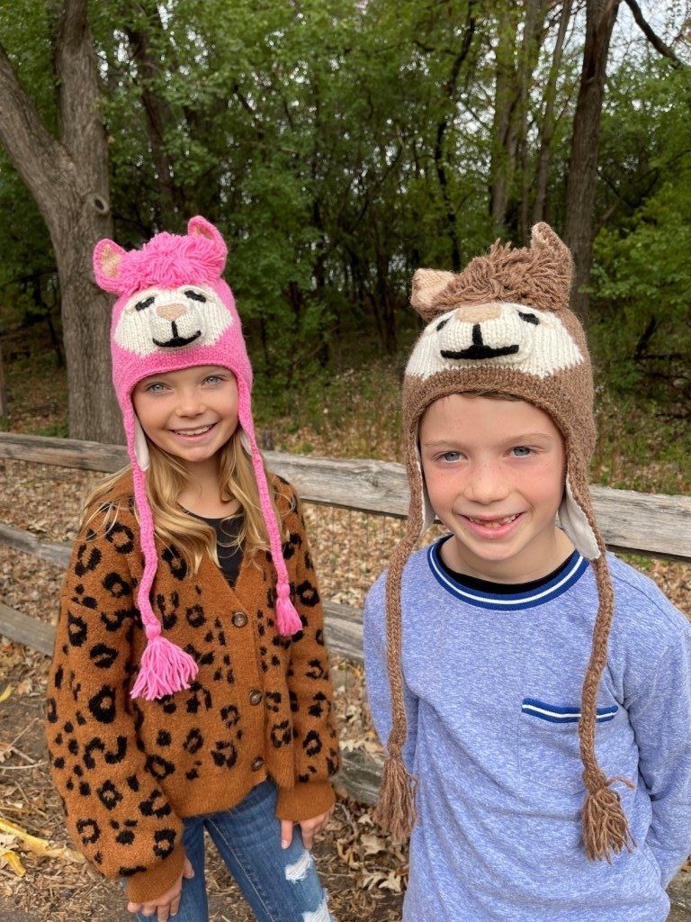 Alpaca Animal Hats